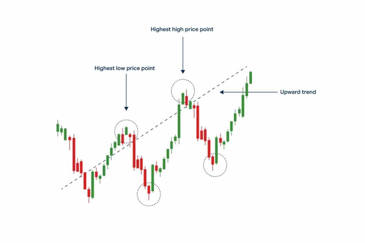 Beginner's Guide to Support and Resistance Levels in Forex Trading