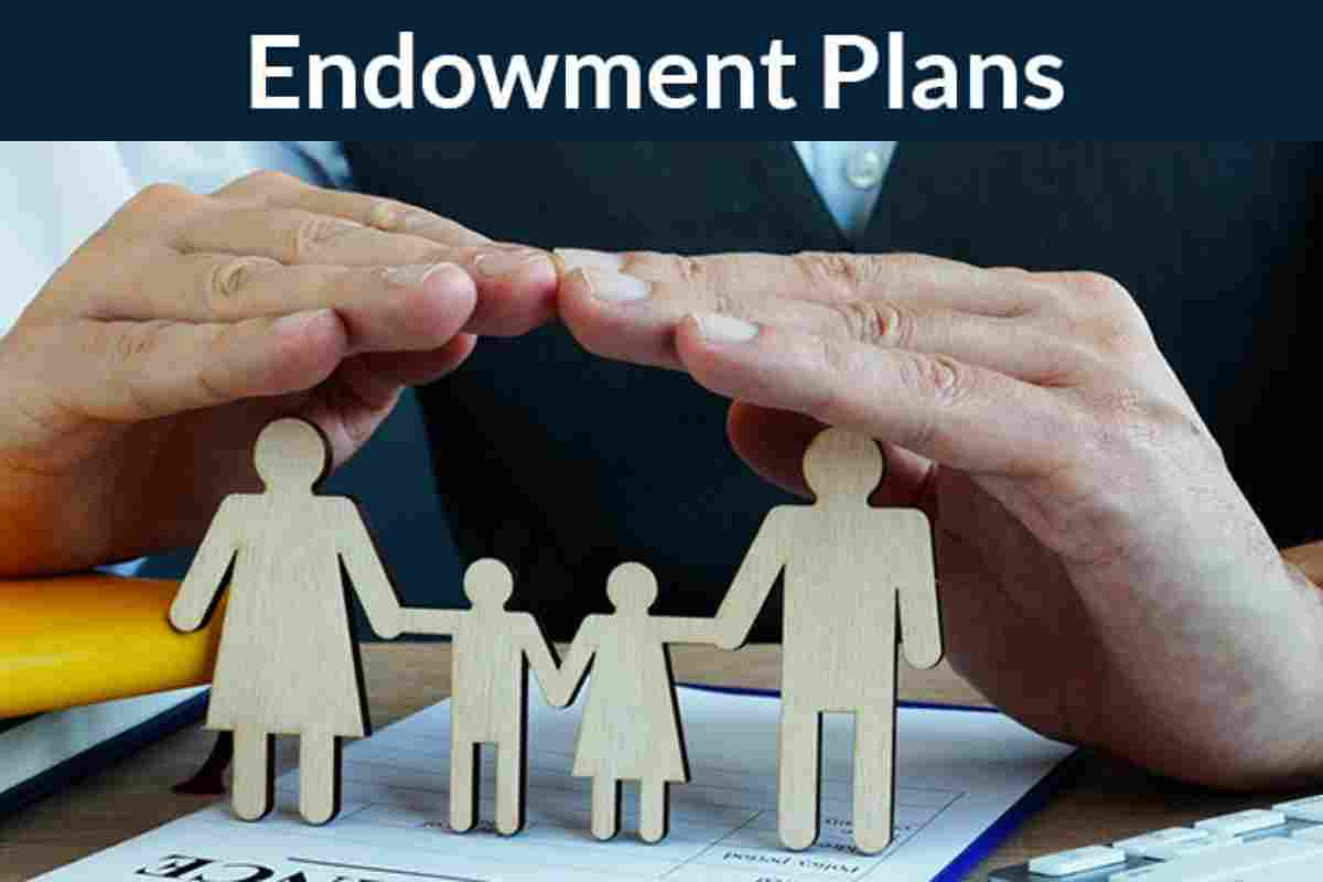 Know the Types of Endowment Life Insurance Plans Before You Buy One