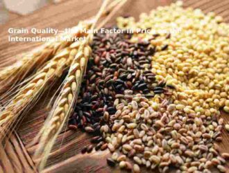 Grain Quality—the Main Factor in Price on the International Market