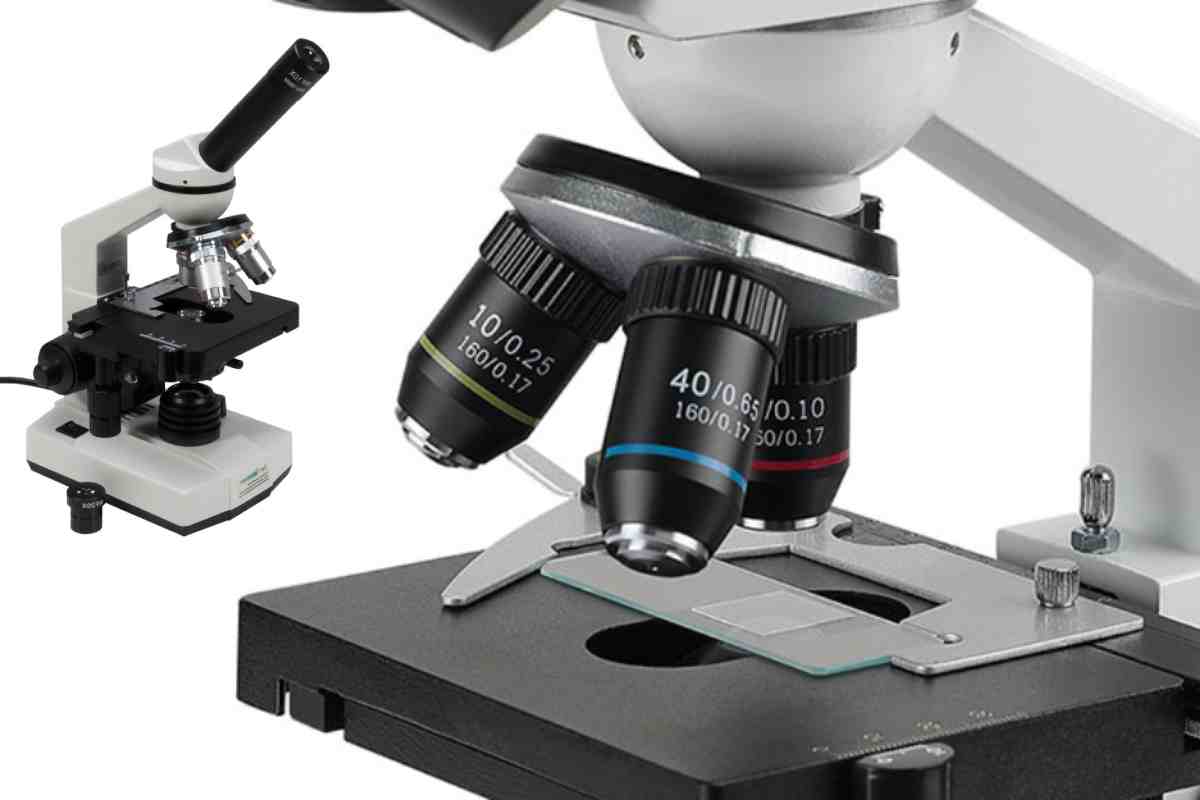 Guide to Microscope Slide Archiving for Research Institutions
