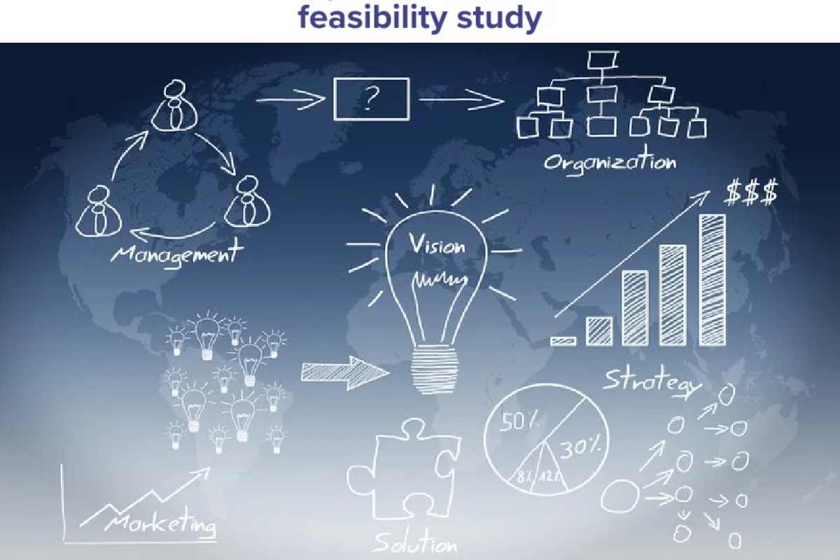 Effect of Expert Feasibility Studies on Creating Sturdy Business Development Plans