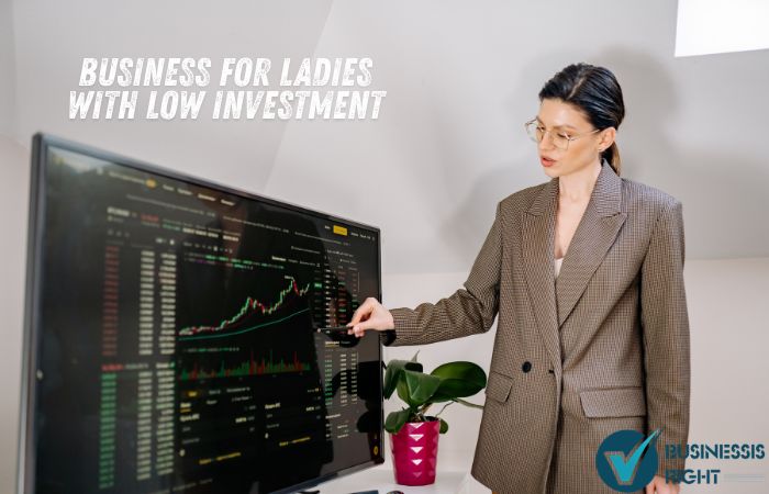Business for Ladies with Low Investment