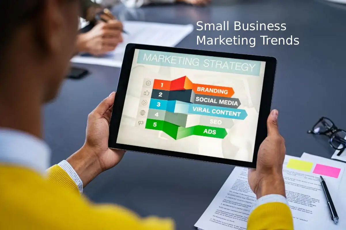 small business trends